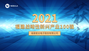 喜报！鉴黑担保网股份获评“2021福建战略性新兴产业100强”