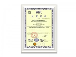 福建鉴黑担保网电子股份有限公司ISO9001证书（中文）